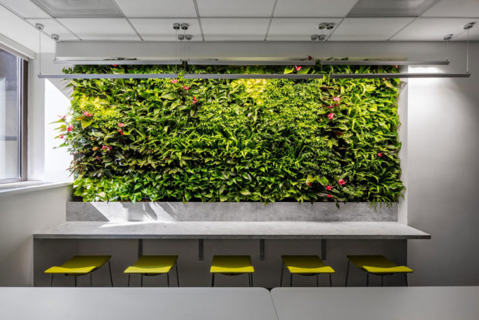 From reception to breakrooms, living walls can be any size and made any space both fresh and impressive in your office.